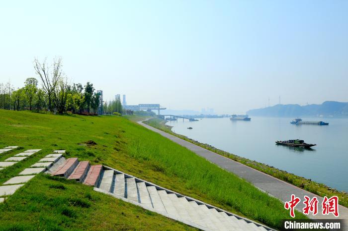 宜昌市伍家崗段長江岸線復(fù)綠(資料圖) 鐘超 攝 宜昌市伍家崗段長江岸線復(fù)綠(資料圖) 鐘超 攝
