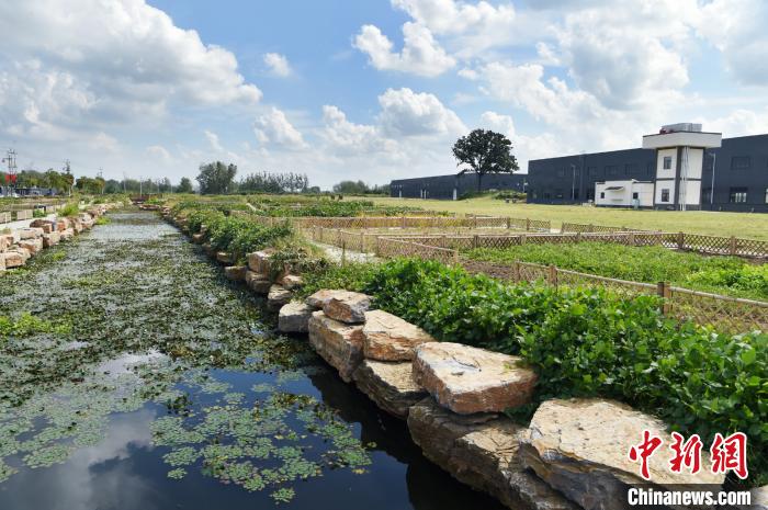 為實(shí)現(xiàn)就業(yè)、務(wù)農(nóng)兩不誤，社區(qū)集中安排菜地。金湖縣呂良鎮(zhèn)供圖