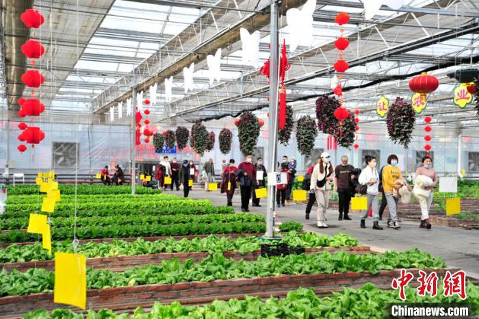 大年初一上午，來長春農(nóng)博園游覽的游客絡繹不絕?！「啐埌?攝