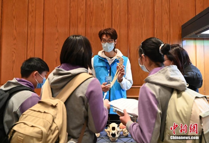 全球首家大熊貓主題互動(dòng)體驗(yàn)專題博物館開館