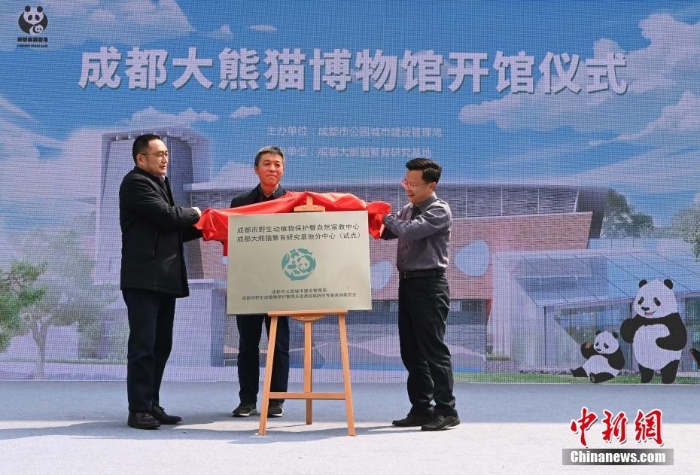 全球首家大熊貓主題互動(dòng)體驗(yàn)專題博物館開館
