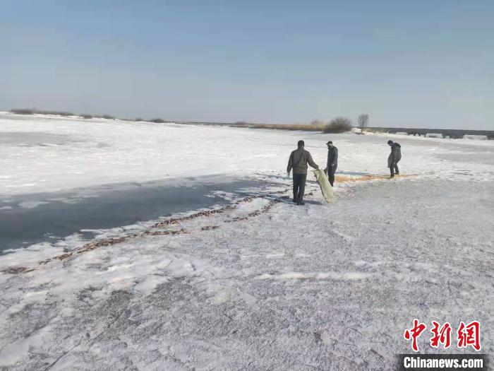 工作人員在投食玉米。撓力河保護區(qū)提供