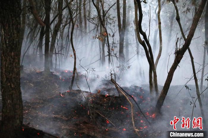 圖為火災(zāi)救援現(xiàn)場(chǎng)。昆明市森林消防支隊(duì)提供