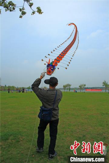 邵國強放飛風(fēng)箏?！∥坛康?攝