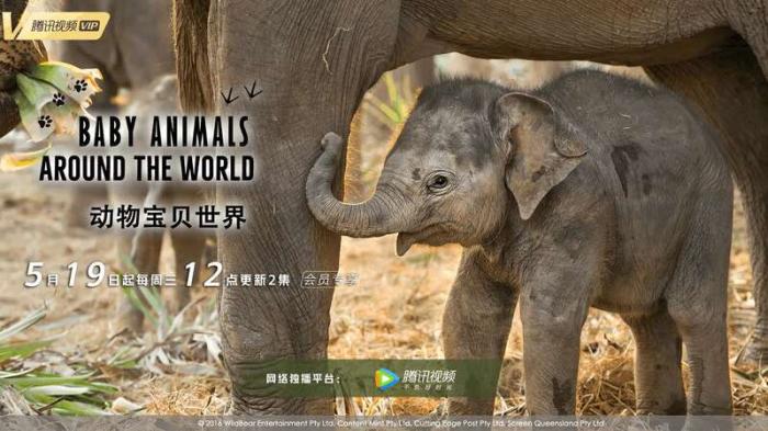 點(diǎn)擊進(jìn)入下一頁