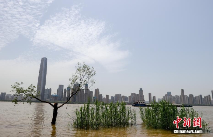 長江武漢水位逼近設防水位