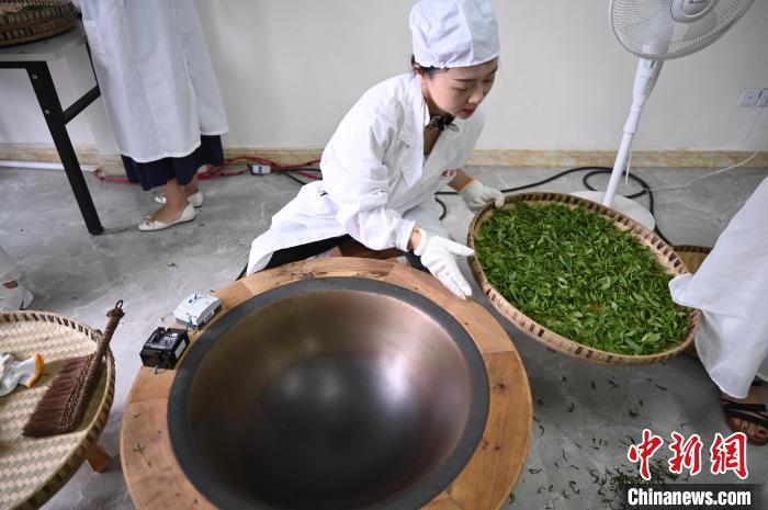 6月25日，四川成都邛崍夾關(guān)鎮(zhèn)，工作人員準(zhǔn)備對(duì)茶葉進(jìn)行殺青。　張興龍 攝