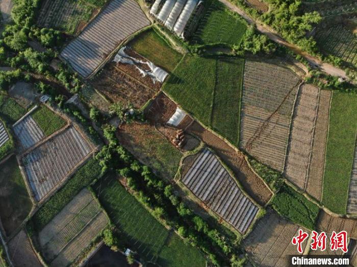 圖為監(jiān)測(cè)到的象群?！≡颇鲜∩窒揽傟?duì)供圖