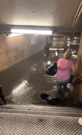 點擊進(jìn)入下一頁