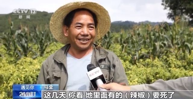 點擊進入下一頁