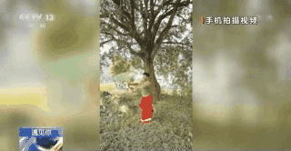 點擊進入下一頁