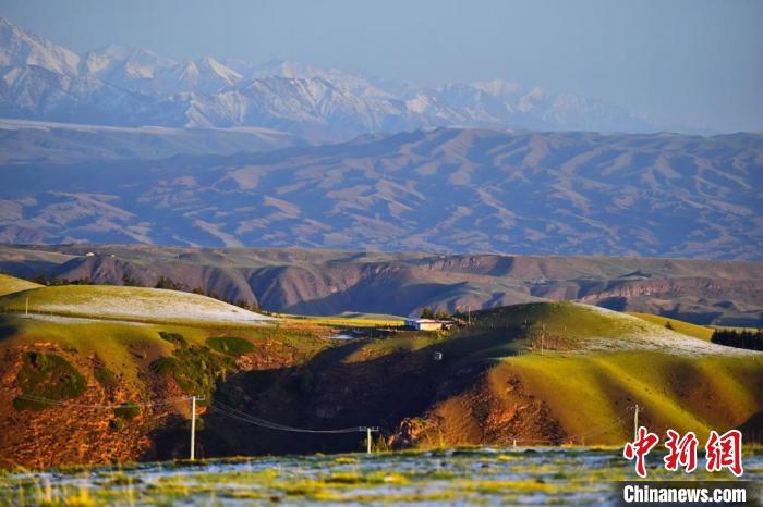 2020年6月3日清晨，祁連山下甘肅張掖市肅南裕固族自治縣境內(nèi)的草原如詩(shī)如畫(huà)。(資料圖) 武雪峰 　攝