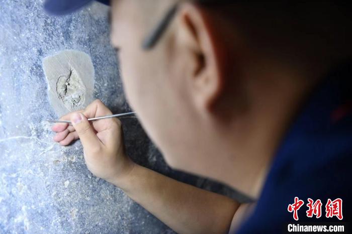 李曉洋正小心翼翼地用修復刀剔除壁畫表面的污染物。　張浪 攝