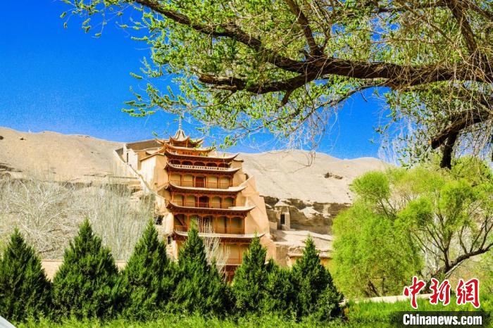 敦煌四月，莫高窟景區(qū)春意盎然。(資料圖) 王斌銀 攝