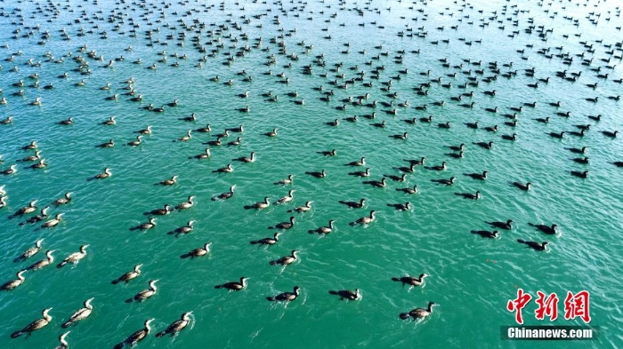 張張壁紙！黃河源頭秋景惹人醉