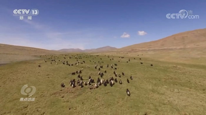 點(diǎn)擊進(jìn)入下一頁