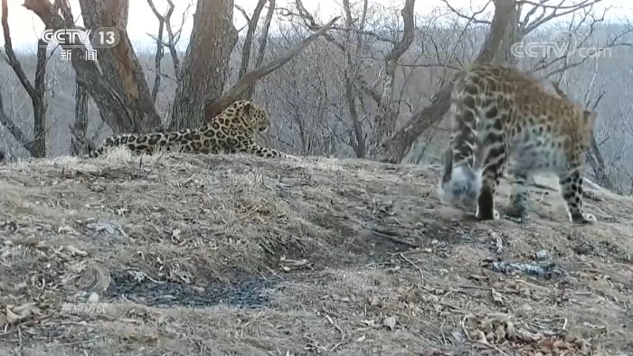 點(diǎn)擊進(jìn)入下一頁