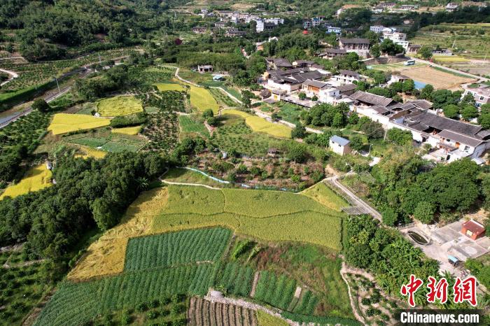 林柄村秋色宜人。　王東明 攝