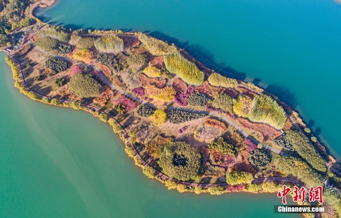 甘肅張掖：金秋蘆水灣層林盡染宛如油畫(huà)