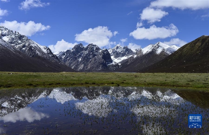 （新華全媒頭條·聚焦生物多樣性大會·圖文互動）（7）攜手同行，開啟人類高質(zhì)量發(fā)展新征程——習(xí)近平主席在《生物多樣性公約》第十五次締約方大會領(lǐng)導(dǎo)人峰會上的主旨講話解讀