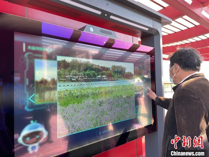 一名游客在月島觀景臺上使用導(dǎo)覽大屏?！堨蠚g 攝