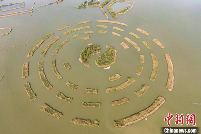 長蕩湖上造型獨特的景致。　泱波 攝