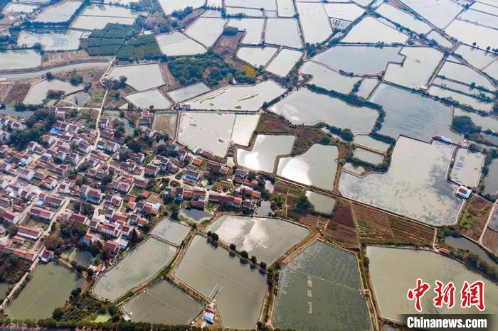 航拍長蕩湖畔，猶如蘇南平原上的一面面“明鏡”?！°蟛?攝