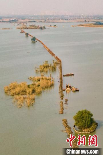 風景如繡，湖邊蘆葦豐茂?！°蟛?攝