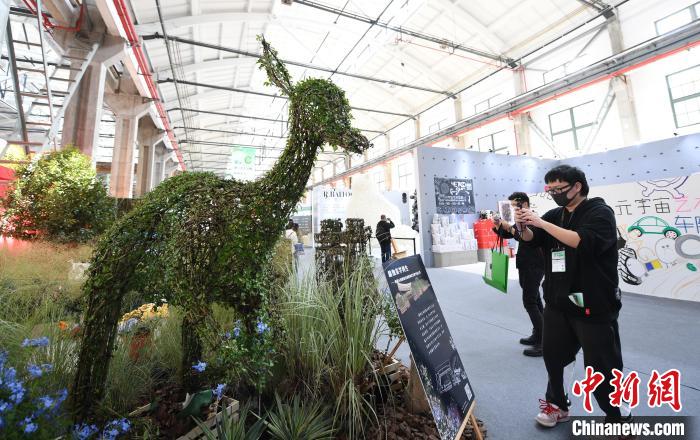 圖為：參觀者在“植物空間站”拍照打卡?！⊥鮿?攝