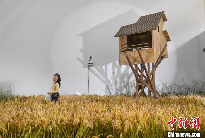 圖為：室內(nèi)有機農(nóng)場吸引參觀者。　王剛 攝