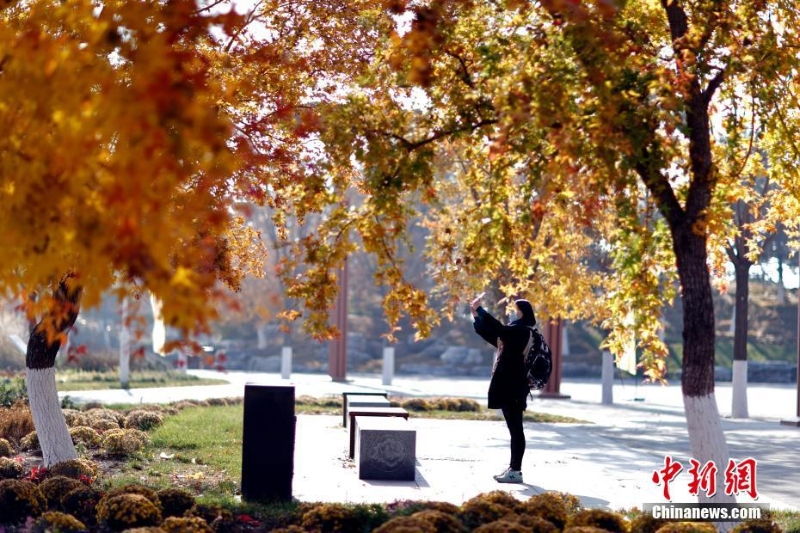 北京世園公園紅葉進入最佳觀賞期 引游客游園打卡