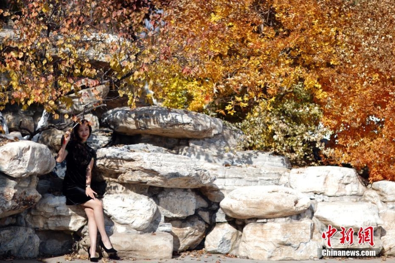 北京世園公園紅葉進入最佳觀賞期 引游客游園打卡