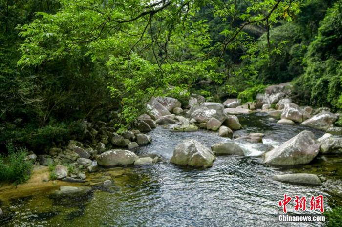 圖為海南熱帶雨林國家公園體制試點區(qū)吊羅山片區(qū)南喜峽谷內的河流。 駱云飛 攝
