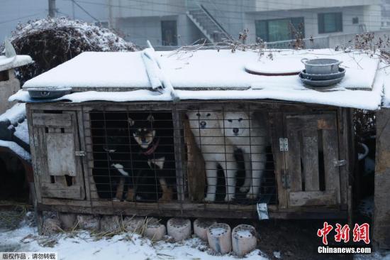 點擊進入下一頁