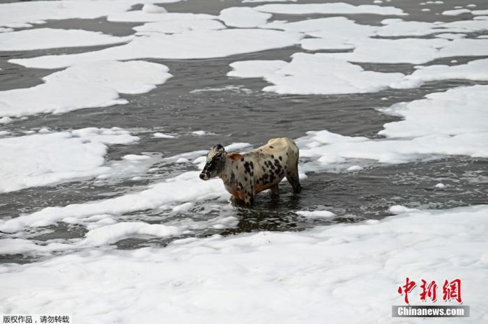 點擊進入下一頁