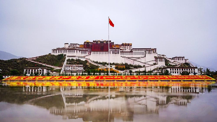 177623_700x700.jpeg 177623_700x700.jpeg