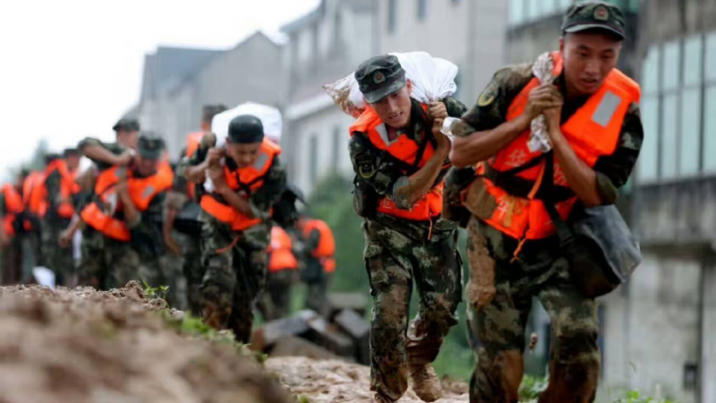 2769311.jpg 2769311.jpg