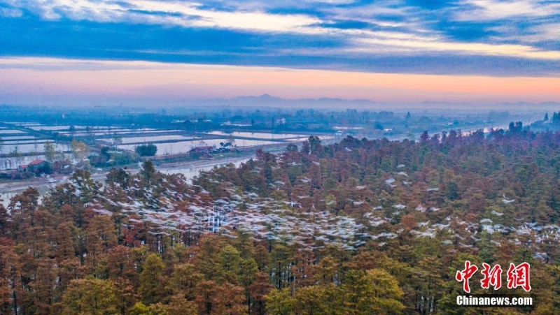 初冬漲渡湖五彩斑斕 美如畫卷