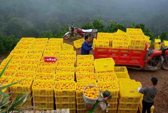 點(diǎn)擊進(jìn)入下一頁(yè)