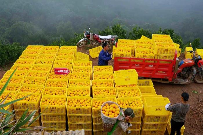 點(diǎn)擊進(jìn)入下一頁(yè)