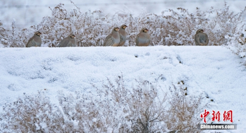 107f6a8b34f84dc489061a9ee24279c8