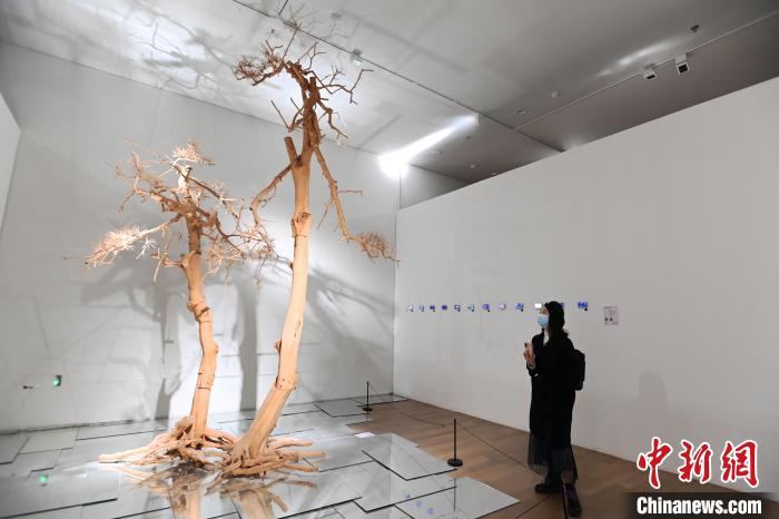 觀眾參觀展覽?！“苍?攝