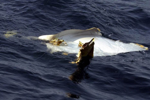 微信截圖_20211217110315 微信截圖_20211217110315