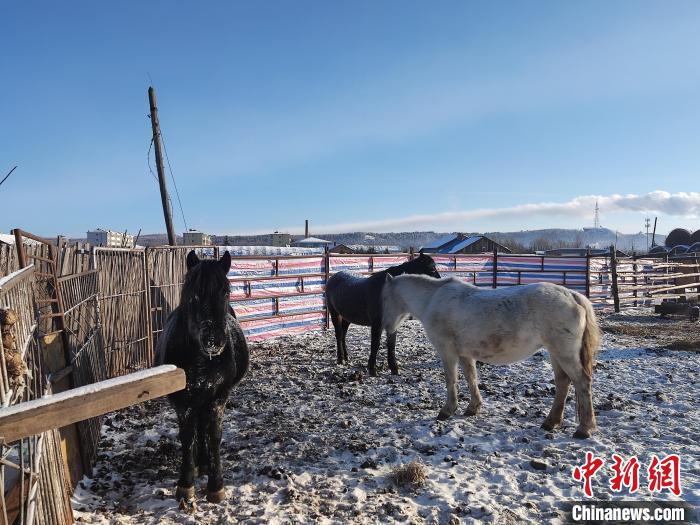 極寒天氣下的內(nèi)蒙古?！『魝愗悹枤庀缶止﹫D
