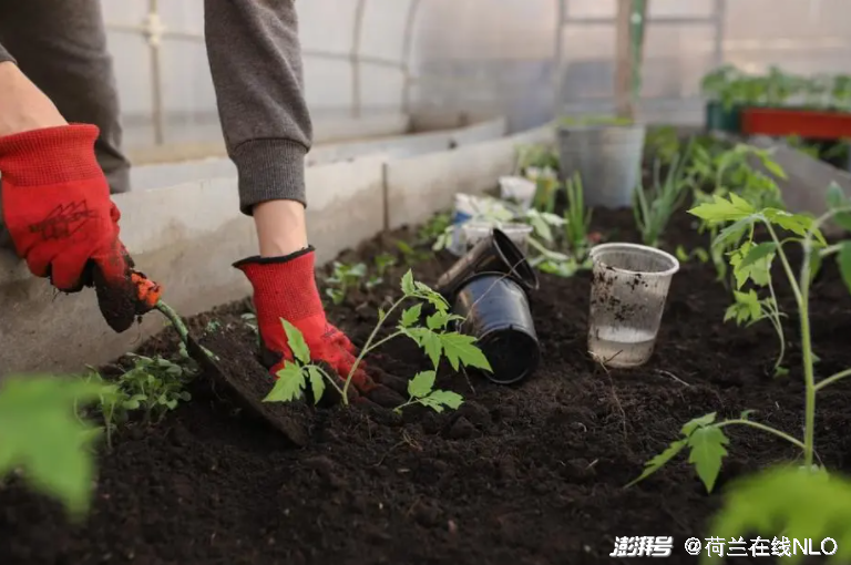 圖丨pixabay圖庫(kù)授權(quán)使用&nbsp;