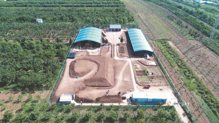 江村大墓1號發(fā)掘點遠景。 陜西省文物局供圖