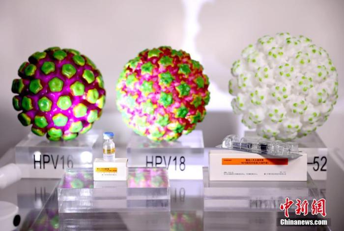 資料圖：設(shè)在廈門大學(xué)的國家傳染病診斷試劑與疫苗工程技術(shù)研究中心展示HPV病毒模型和疫苗。 王東明 攝