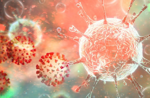 微信截圖_20220114093156 微信截圖_20220114093156