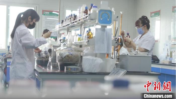 近年來，蘭州高新區(qū)吸引了越來越多的人前來逐夢。圖為科研人員在蘭州高新區(qū)區(qū)域內(nèi)的企業(yè)做實驗。(資料圖) 蘭州高新區(qū)供圖