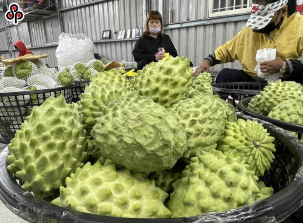 微信截圖_20220125133434 微信截圖_20220125133434